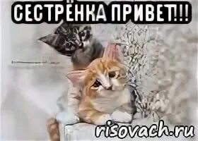 Привет родная мп3
