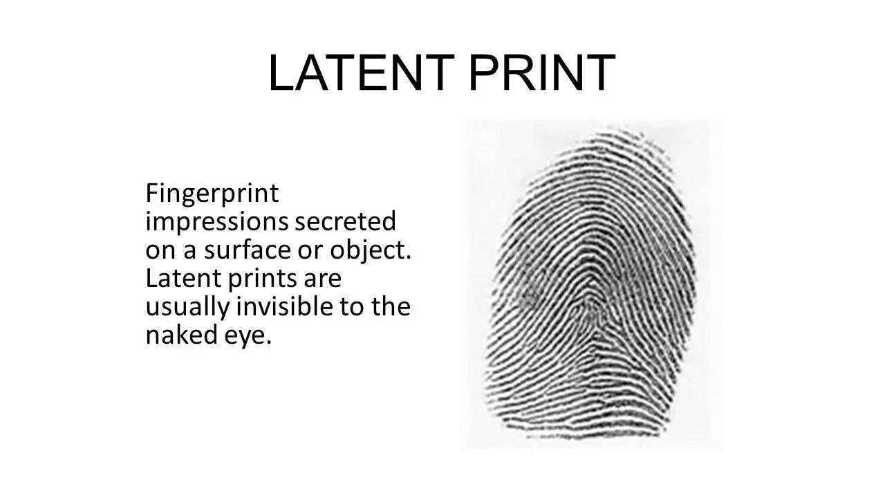 Latent Prints. Latent Prints Video. L8nt (latent. Fingerprints guess whose.