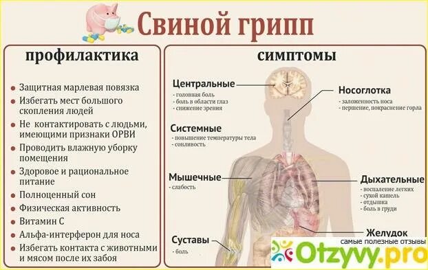 Грипп симптомы 2024 лечение. Свиной грипп н1n1 симптомы. Свиной грипп симптомы у людей. Свиной грипп симптомы и профилактика. Симптомы св нного гриппа.