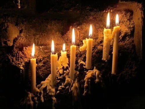 Светильник рождественский декоративный (зелёный) на 7 свечей, 42х35 см, STAR tra