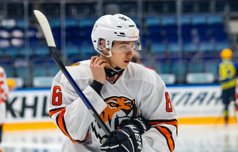 Амурские тигры мхк атлант. Амурские тигры мхл. Чемпионат нхл. Чепилев амурские тигры команда. Торпедо витязь.