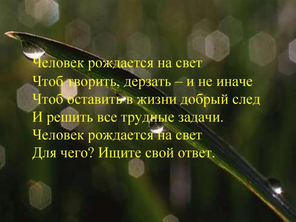 Оставить добрый след на земле. Человек рождается на свет чтоб творить. оставить след в жизни людей. стих человек рождается на свет. стихи человек родился на земле.