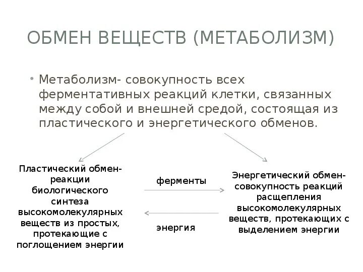 Этапы биосинтеза белка. Ассимиляция это процесс биология примеры. Синтез белка 10 класс биология. Этапы синтеза днк. Пластический обмен биосинтез белков 9 класс.