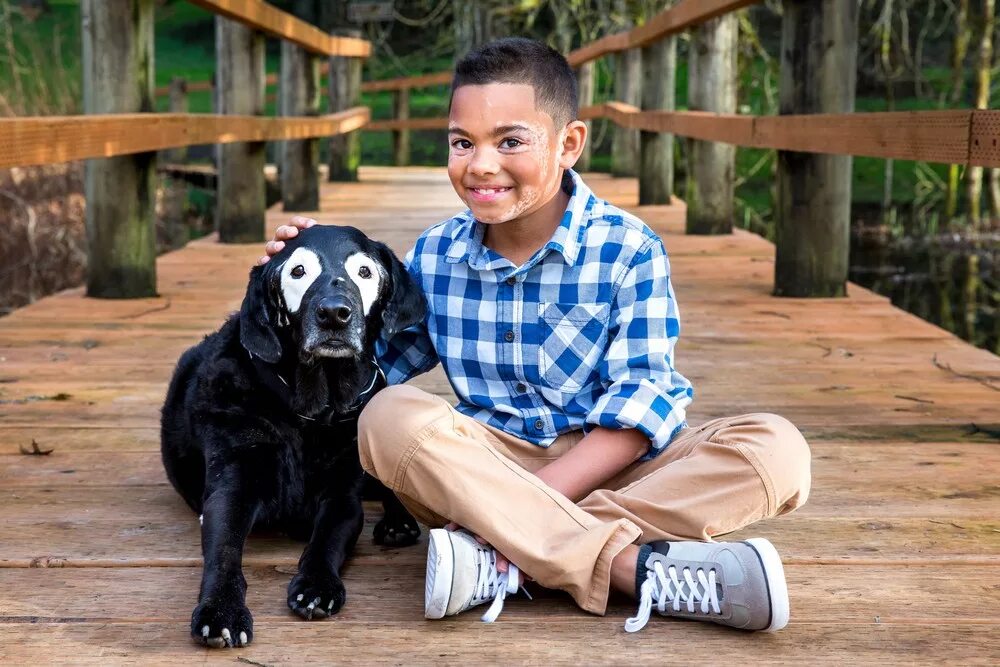 животные. мальчик жил с собаками. мальчик с собакой. оксана малая, украина, 1991. маркос родригез пантоха.