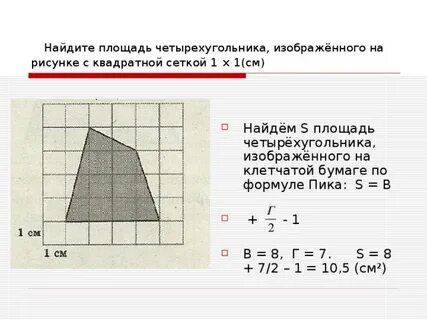 Найдите площадь лесного массива в м2