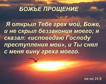 Любовь прощает все грехи