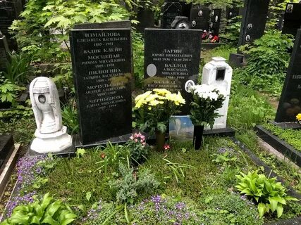 Кто похоронен на донском кладбище