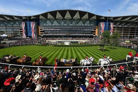 Ascot horse racing