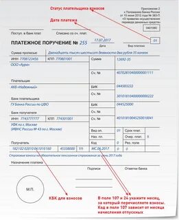 Платежки за январь 2024
