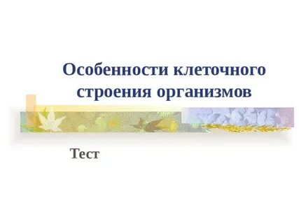 Тест организмы