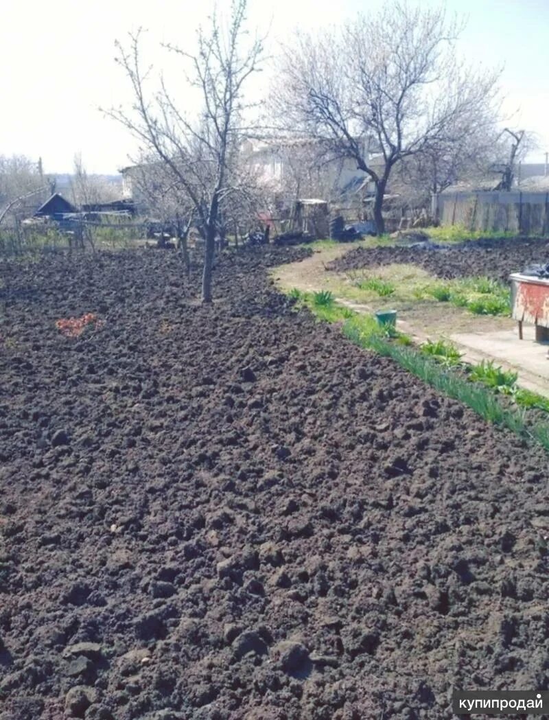 Сад огород вывеска. Магазин семян для сада. Цветы рассада на рынке. Сад огород в ростове на дону. Сад огород в ростове на дону.