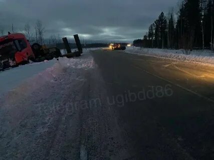 Дтп 23.01 2024