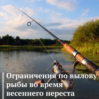 Какой спиннинг для щуки с лодки