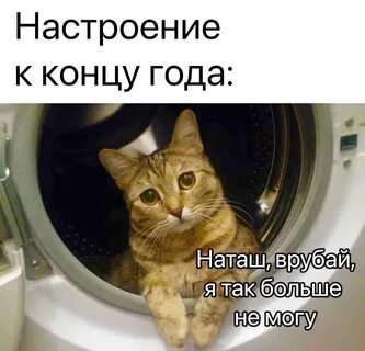 1 юмора
