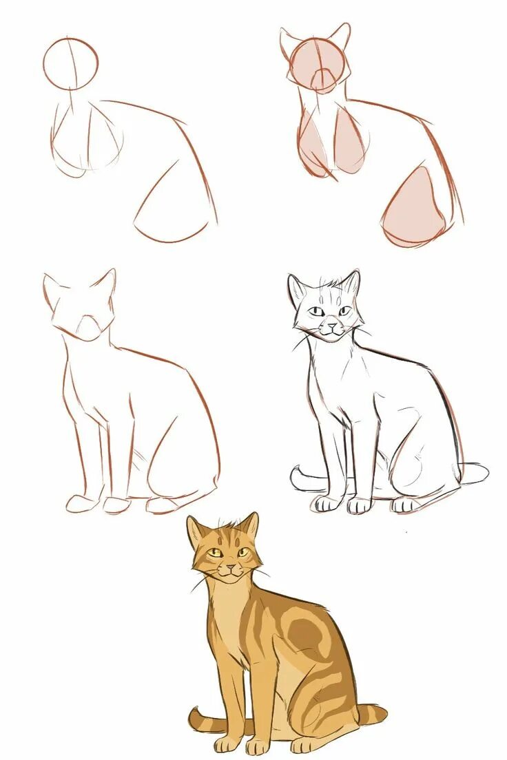 Cats tutorials