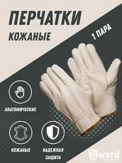 Перчатки анатомические