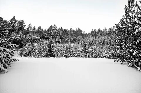 Летом белое зимой черное