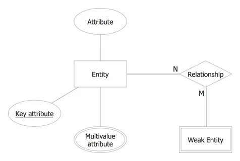Key attributes
