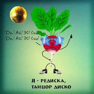 Редиска нехороший