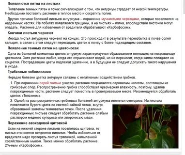 Лечение болезней цветами