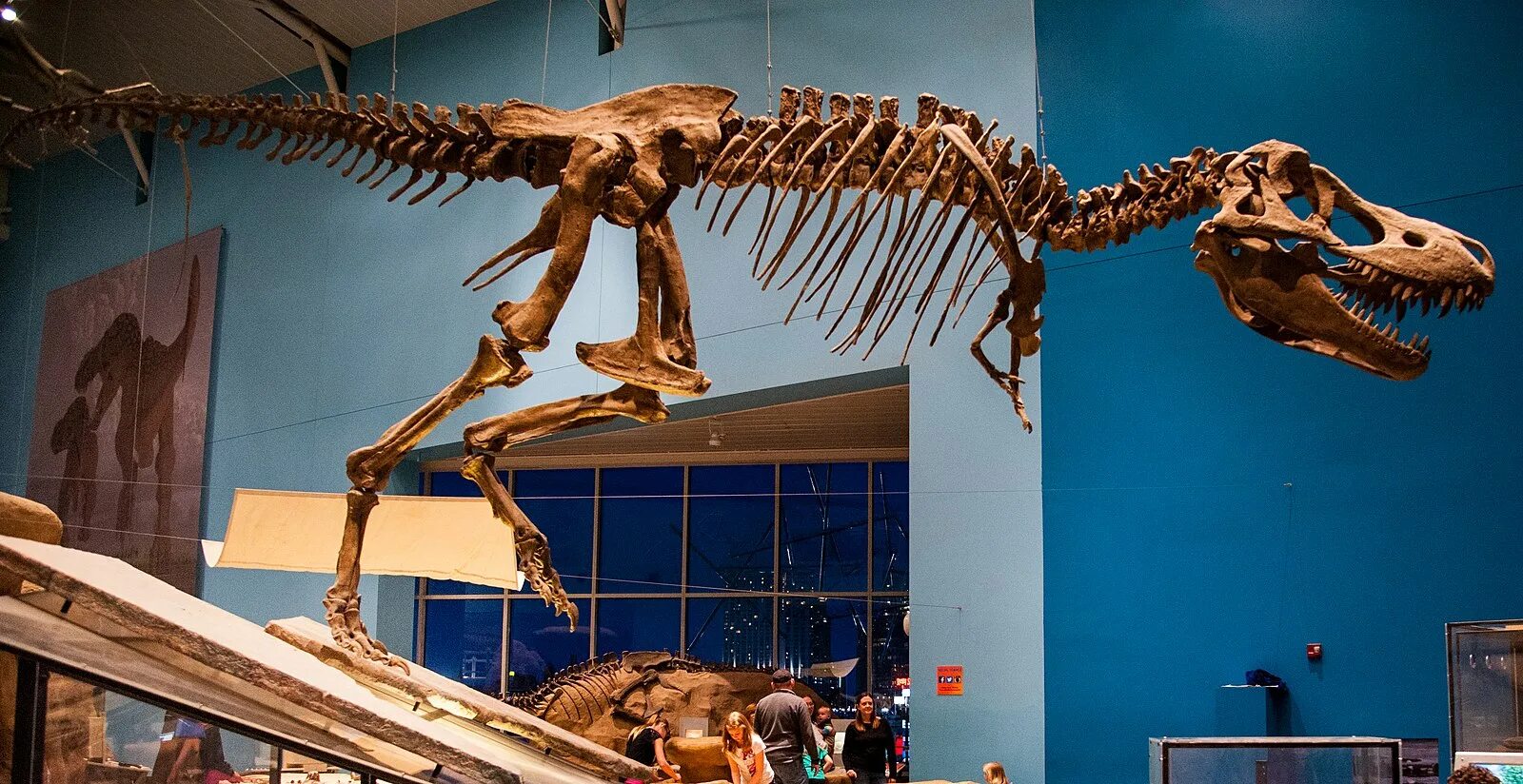 Тарбозавр Батаар. Тарбозавр Батаар скелет. Тарбозавр скелет. Скелет динозавра тарбозавра Дарвинский музей.