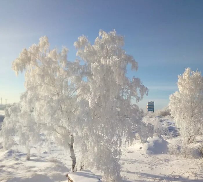 Обь зимой Новосибирск. Обь искусств зима. Заснеженный берег Оби в Новосибирске. Зимние оби