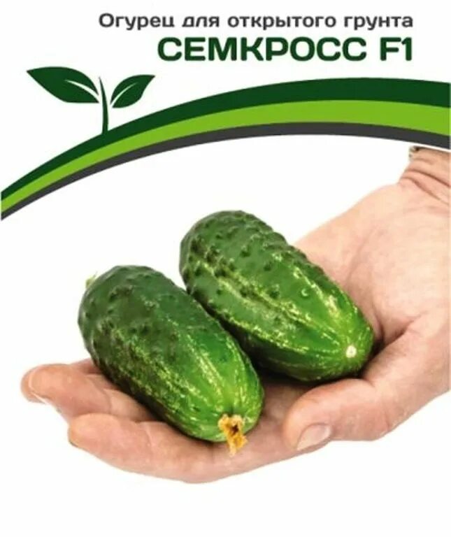 Фирма партнер сорта огурцов. Фирма партнер сорта огурцов