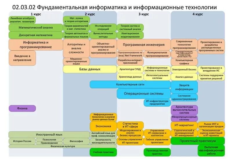 Какие предметы в вузе. Какие предметы изучают в университете. Фундаментальная Информатика и информационные технологии. Информационные технологии предмет в вузе. Сайт первого курса