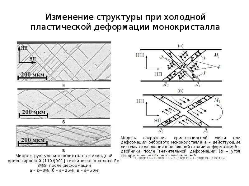 Изменение структуры металла при пластической деформации. Процессы при холодной деформации. Процессы при холодной пластической деформации. Холодная пластическая деформация.