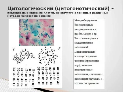 Цитология методы исследования