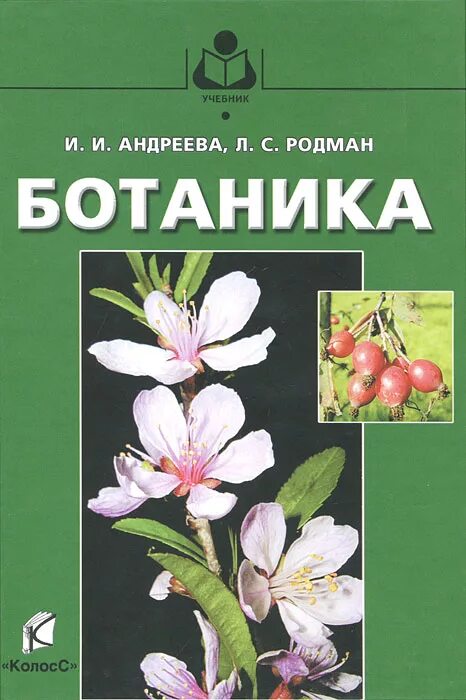 Ботаника вузы. И И Андреева л с Родман ботаника. Ботаника и. и. Андреева, л. с. Родман 4 издание. Ботаника учебник. Учебник по ботанике для вузов.