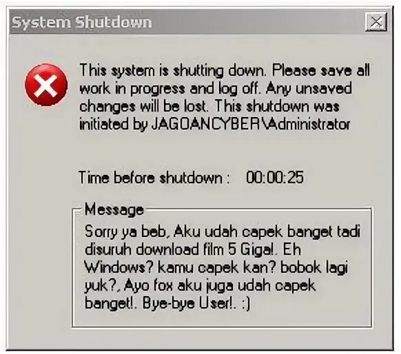 System will shutdown