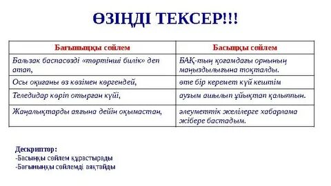 Үйде түсірілген порно видеоларды қараңыз