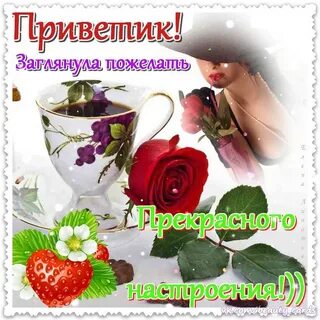 Привет приятного