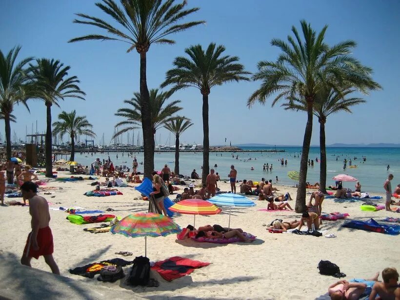 Пальма де майорка погода. Пальма дель майорка. пальма де майорка пляжи. palma de mallorca пляжи. пальма дель майорка город.