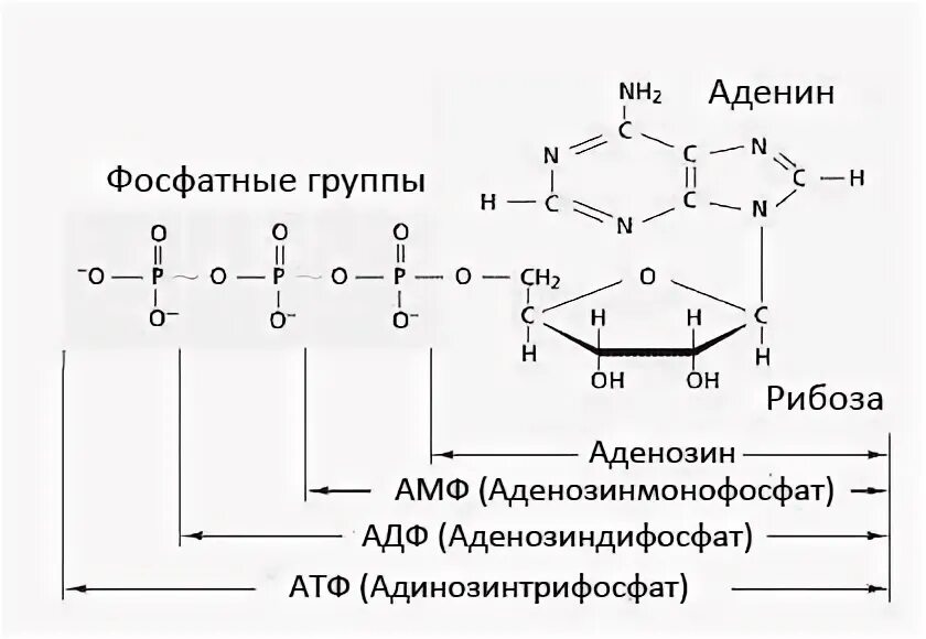 Схема адф