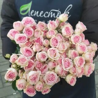 Розы гомель