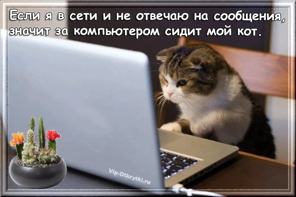Лучше нет интернет. Лучше нет интернет