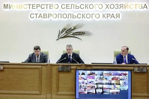Зам министра сельского хозяйства ставропольского края