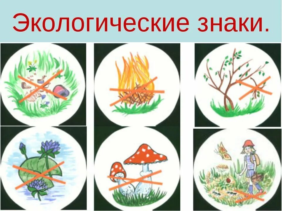 Знаки экологического класса. Экологические знаки. Знаки охраны природы. Экологические знаки по охране природы. Экологический знак природы.