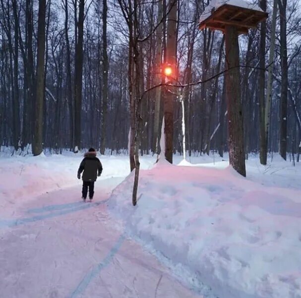 Каток на дубравной в казани. Каток на дубравной. Парк дубрава казань каток. Каток на дубравной. Дубравная каток среди деревьев.