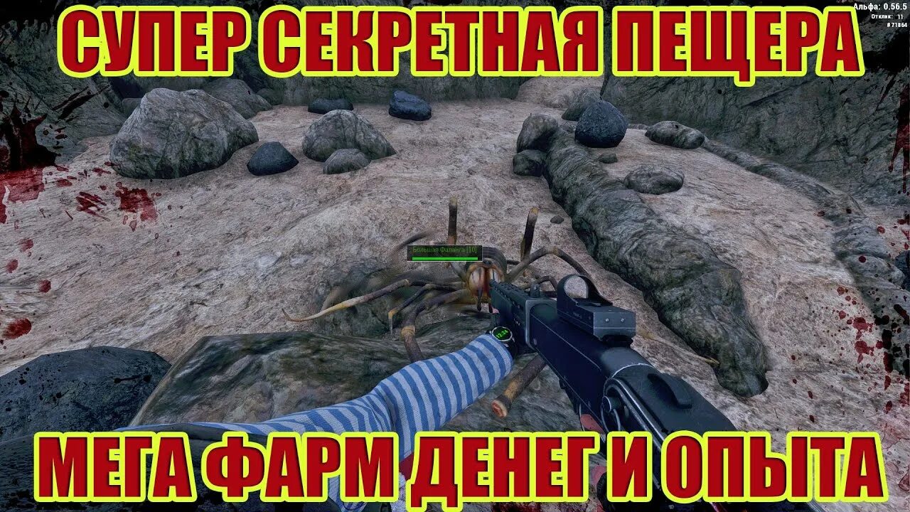 Will to live полигон