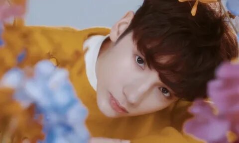 See kai