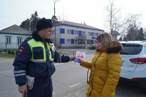 Погода в курганинске в ноябре