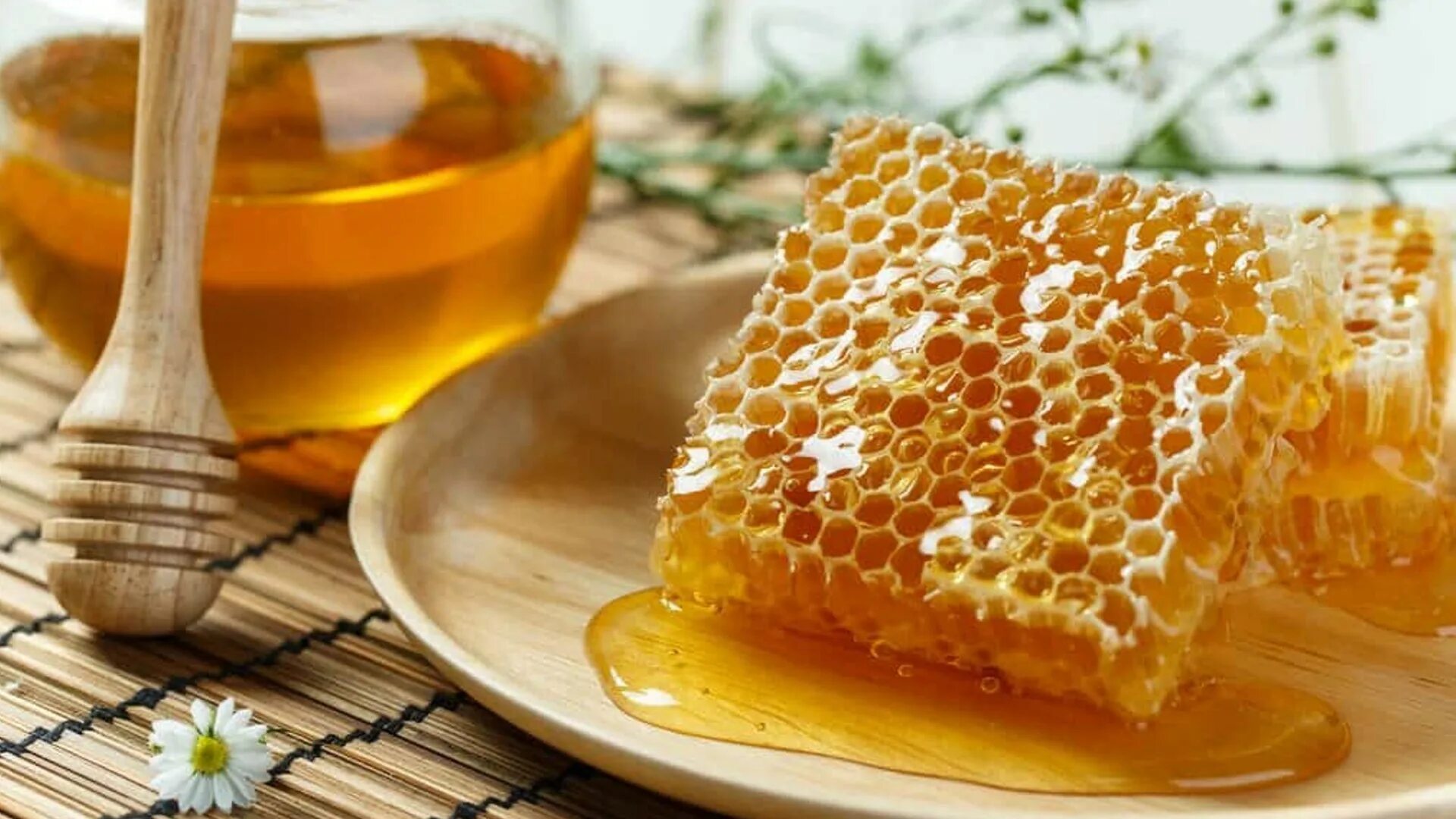 Можно есть соты с медом. Сотовый мед. Мёд в сотах. Медовые соты. Мед из сот.