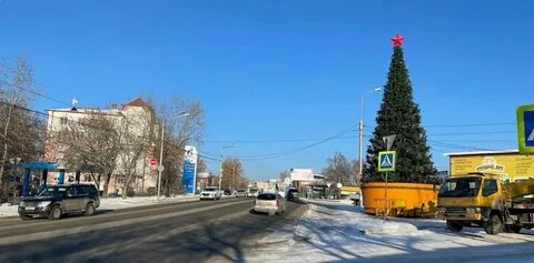 Ели томск