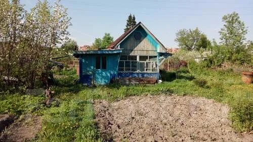 Снт садовод. Снт любитель новосибирск. Снт любитель новосибирск. Снт любитель мочищенское шоссе. Садовые товарищества в новосибирске.