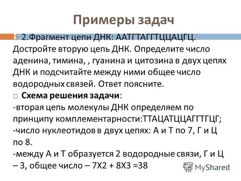 задачи на цепочки днк и рнк. принцип комплементарности биология. задачи по молекулярной биологии. днк цепочка а т г ц. участок нетранскрибируемой цепи днк имеет следующее строение.