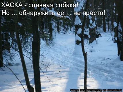 Но обнаружить