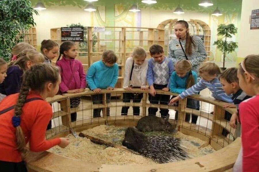 Контактный зоопарк лесное посольство санкт-петербург. Лесное посольство санкт-петербург зоопарк. Санкт-петербург планерная улица 59 лесное посольство. Лесное посольство контактный зоопарк спб. Лесное посольство планерная ул.